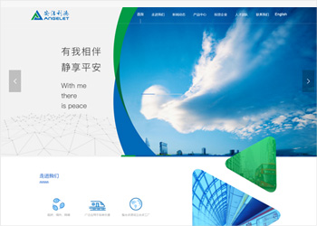 网站开发案例-安洁利德科技