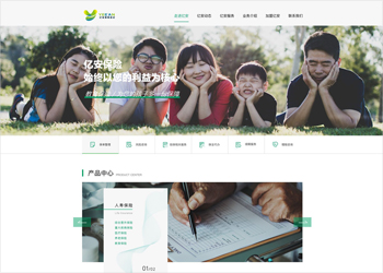 网站开发案例-亿安保险经纪